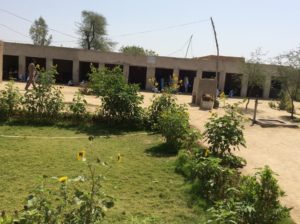 Basti Ghulam Nabi with new sheds and plantation brings a pleasant change